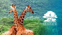 Vinpearl Safari Phú Quốc - Khám Phá Những Điều Thú Vị