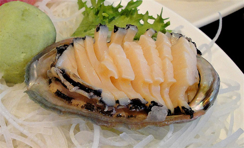bào ngư sashimi