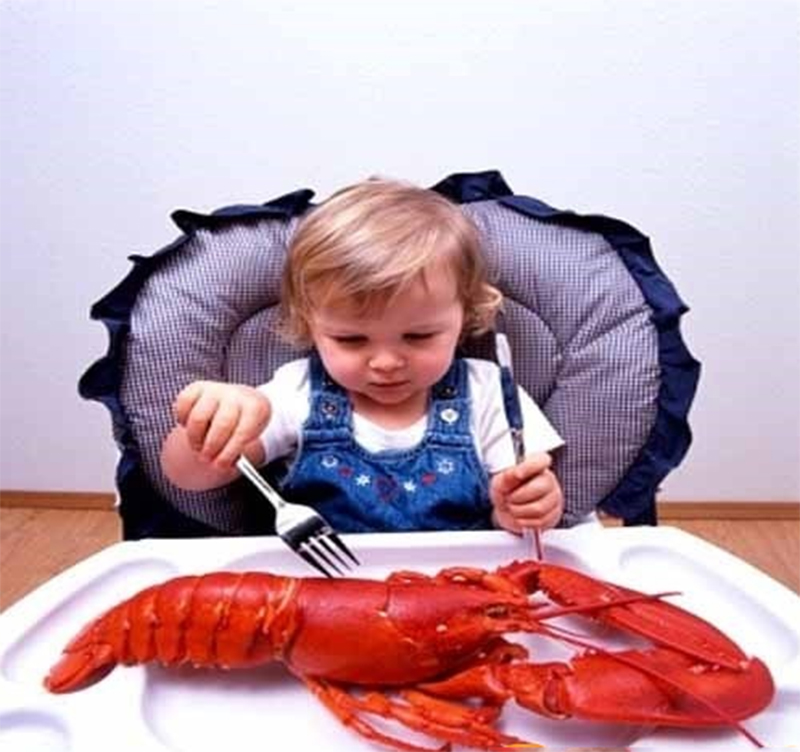 cho bé ăn hải sản đúng cách