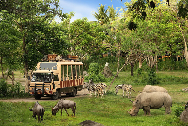safari phú quốc khám phá những điều thú vị