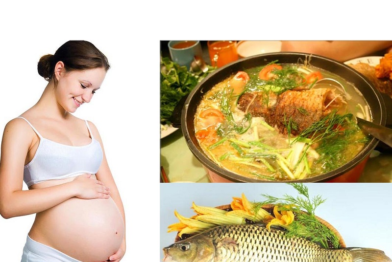 Ăn gì tốt cho thai nhi