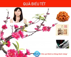 9 Món Quà Tết Ý Nghĩa