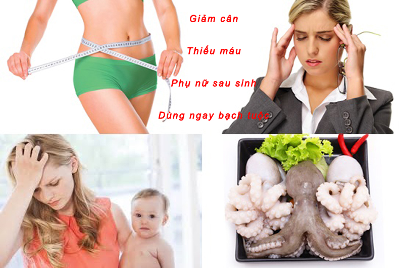 ăn bạch tuộc tốt cho sức khỏe