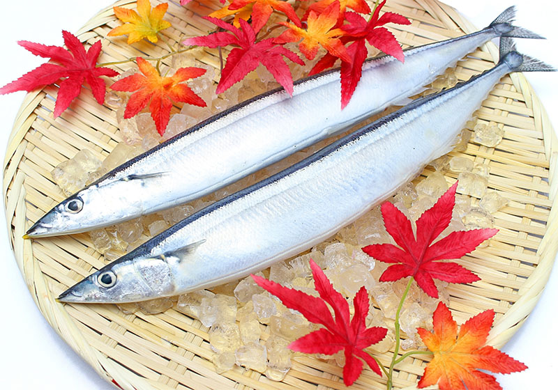 Cá thu tiếng Nhật là gì?