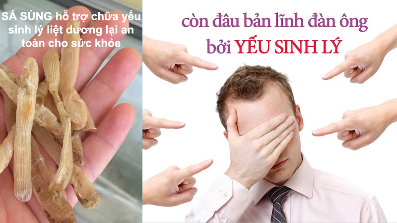 công dụng của sá sùng