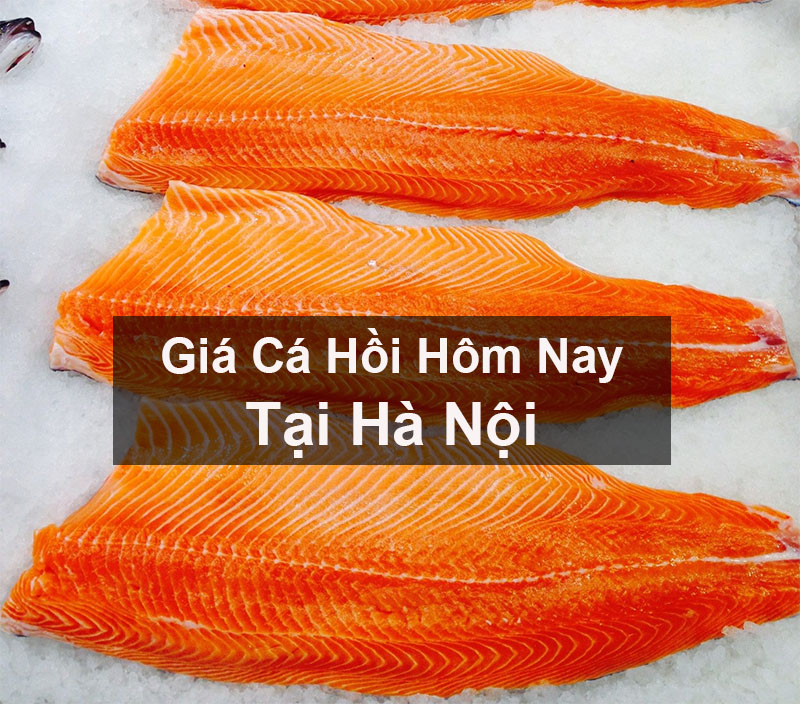 Giá Cá Hồi Hôm Nay tại Hà Nội