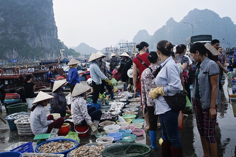 chợ hải sản tại Cô Tô